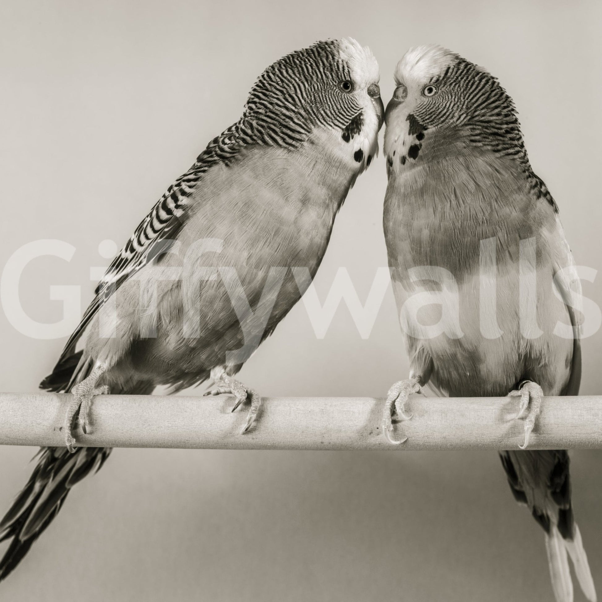 Elegant Lovebirds on a Perch removable wallpaper perfect for nursery interior styling.