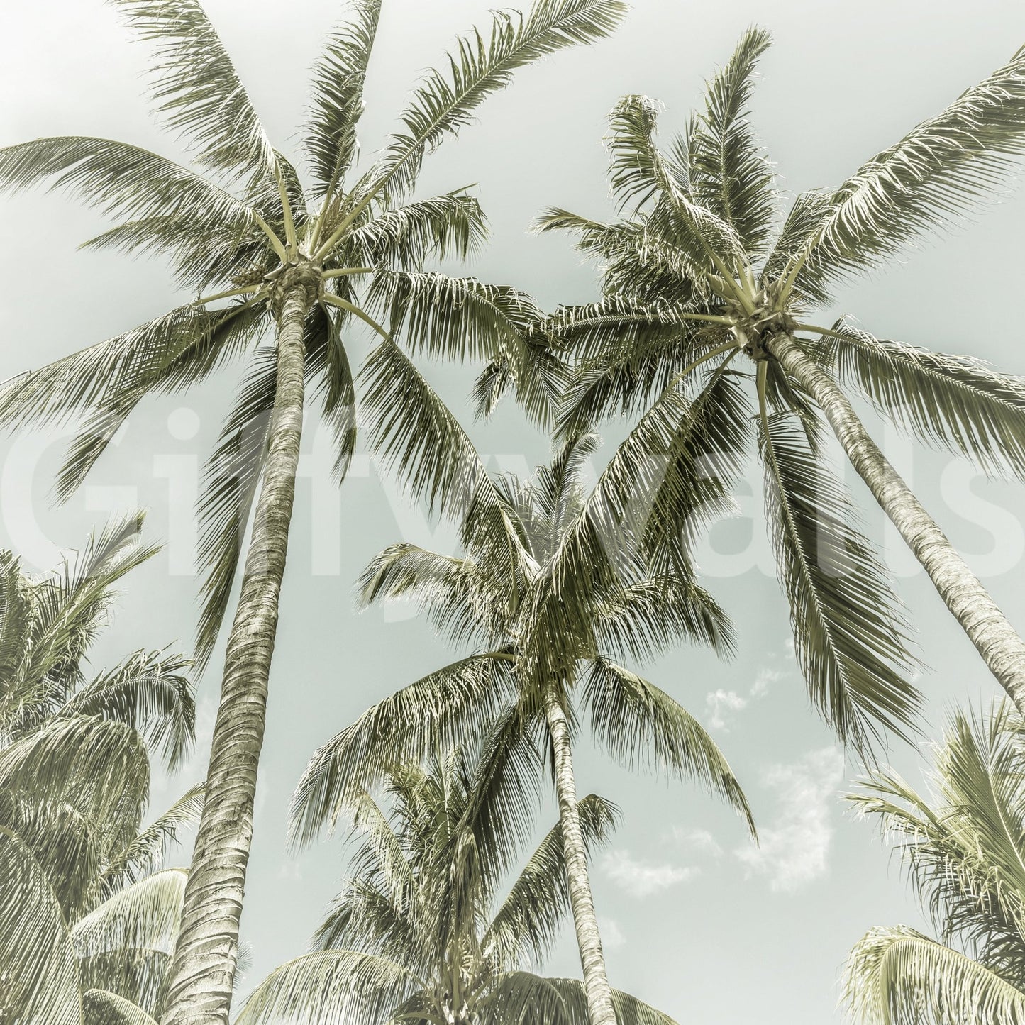 Lovely Palm Trees mural adding coastal charm to walls

