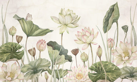 Lovely water lilies wallpaper murals