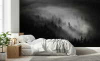 Woodland Island Fog picture, mysterious mountain forest light.