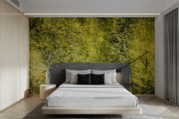 Muted green wall wallpaper
