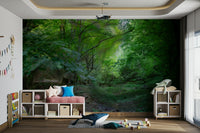 Tranquil forest wallpaper for walls
