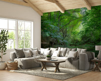 Green forest path wallpaper for walls

