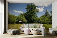 Natural woodland wallpaper for walls
