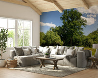 Blue sky and forest wallpaper for walls
