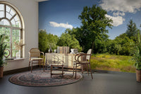 Calm outdoor sky mural wallpaper
