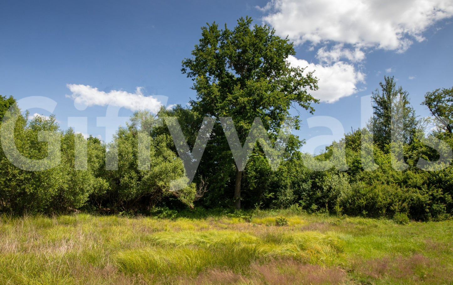 Grounded green landscape wallpaper
