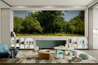 Majestic trees wall mural design
