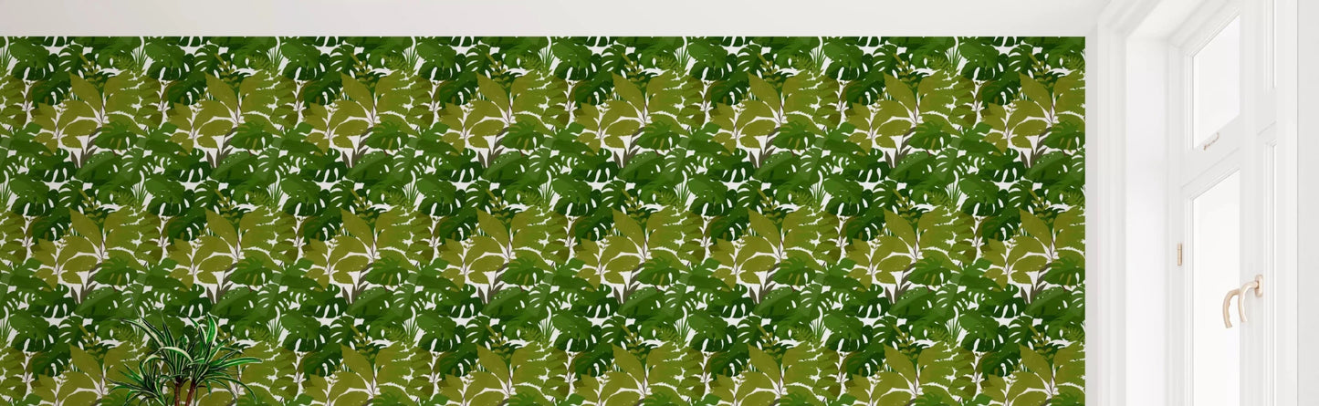 Green monstera wallpaper with tropical leaf canopy design
