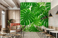 Crafted from high-quality non-woven traditional paper

