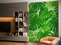 Large, detailed Monstera leaves

