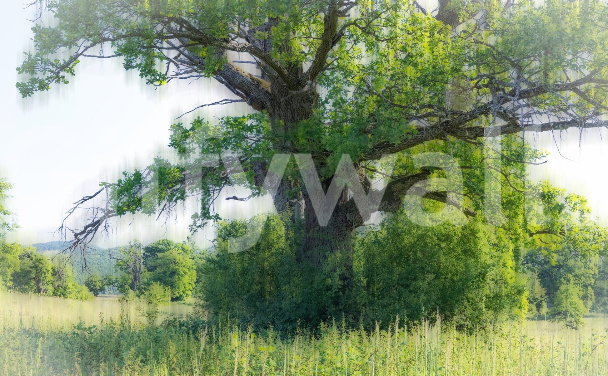 Minimal landscape wall wallpaper
