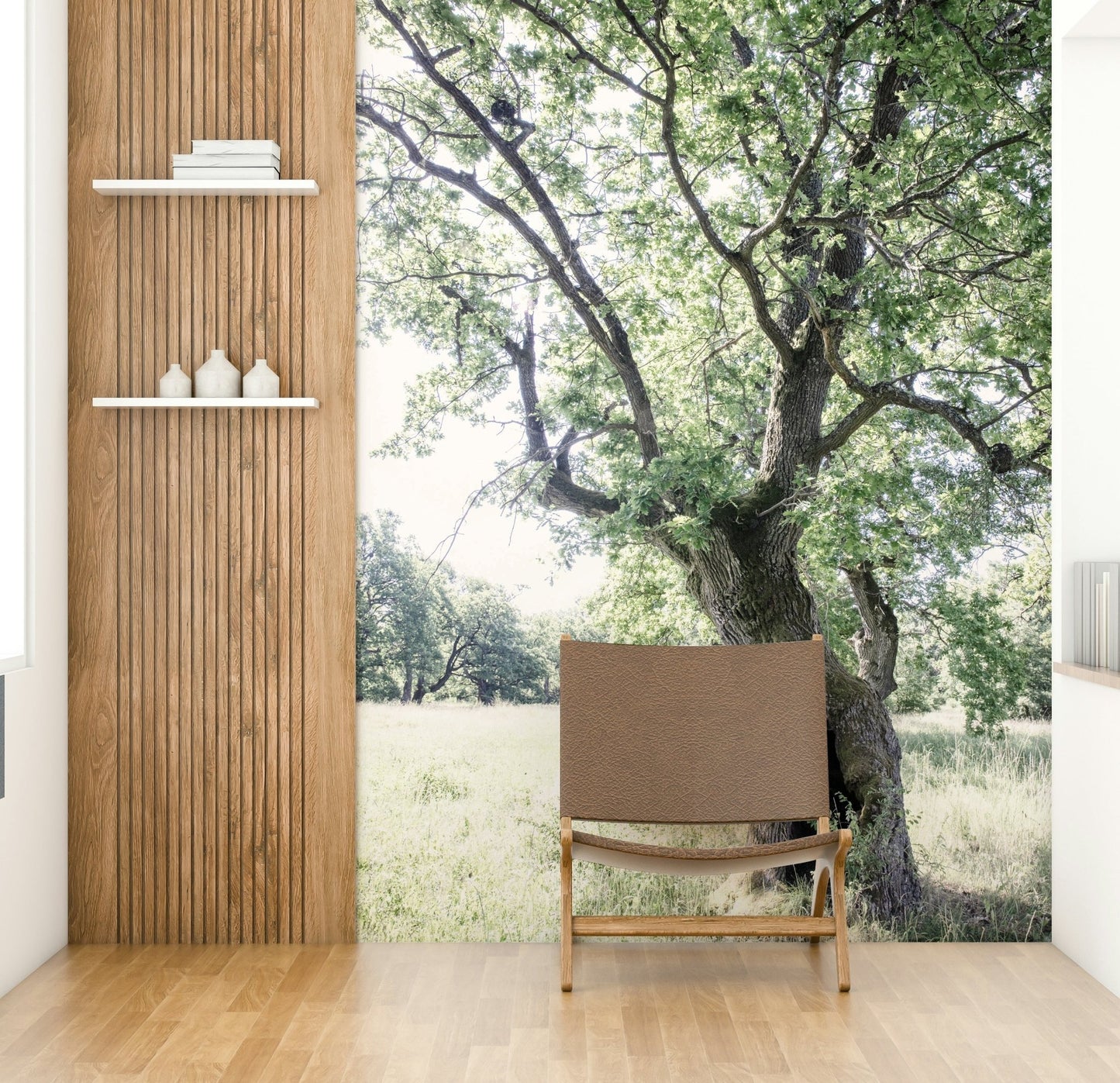 Calm outdoor tree wallpaper
