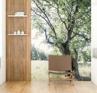 Calm outdoor tree wallpaper
