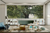 Large tree wallpaper mural

