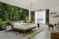 Calm forest canopy mural wallpaper
