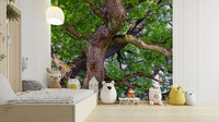 Peaceful tree branches wallpaper
