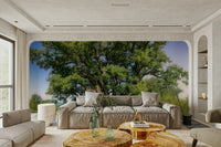 Nature photography tree wallpaper
