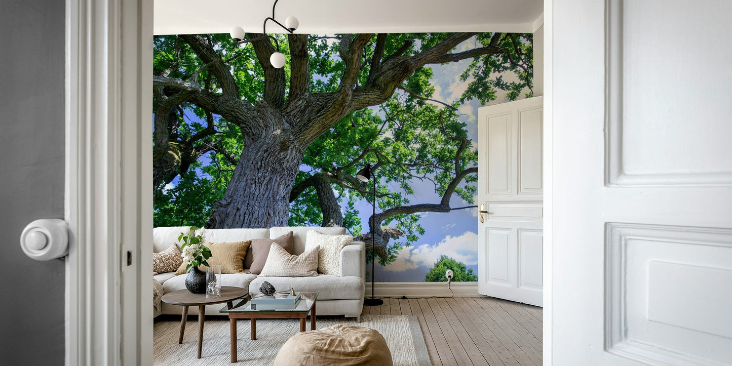 Calm tree scene wallpaper
