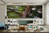 Nature photography wall wallpaper
