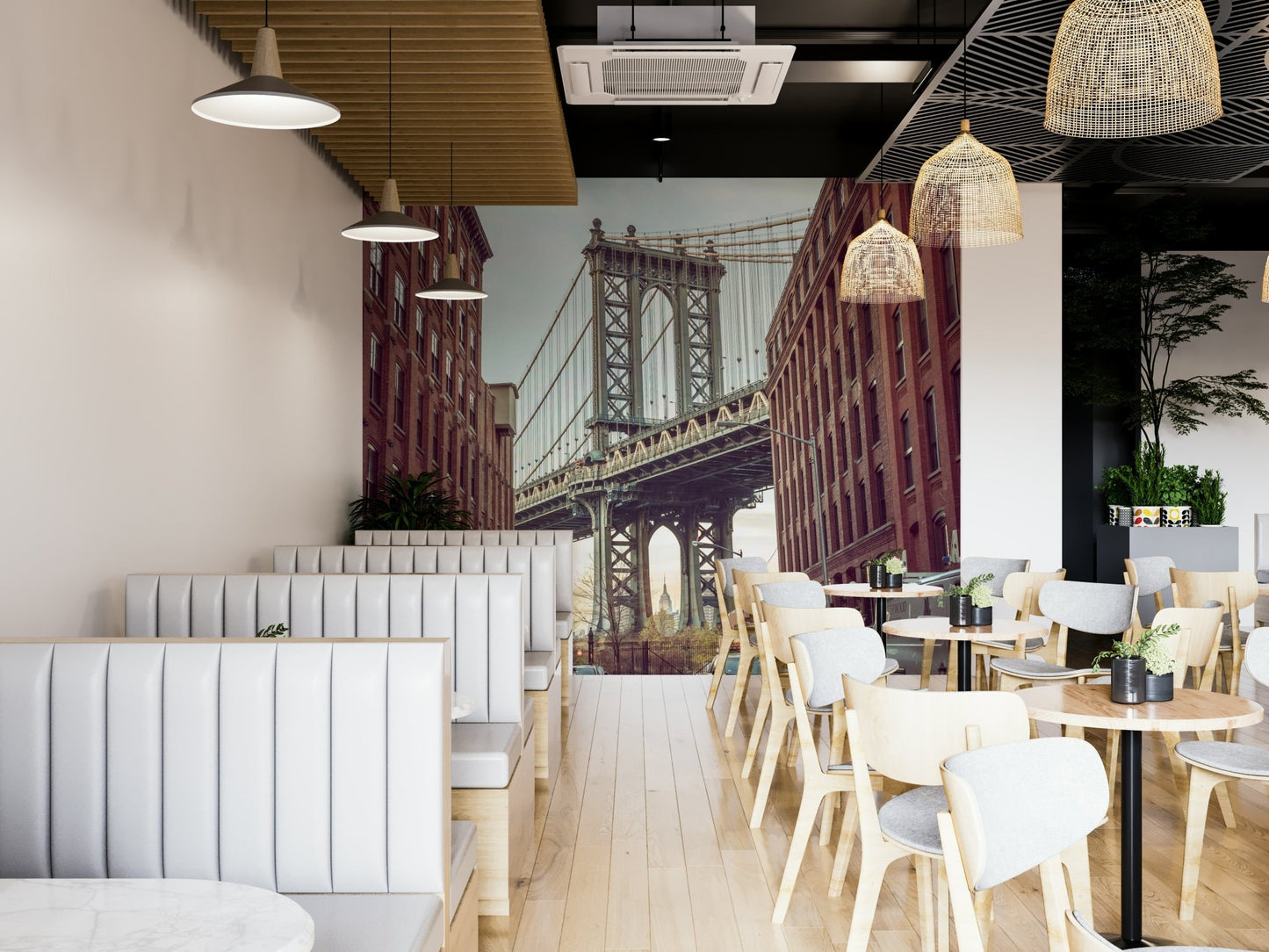 Parked cars lining the street.

