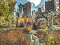Manhattan's Autumn Embrace Wall Mural