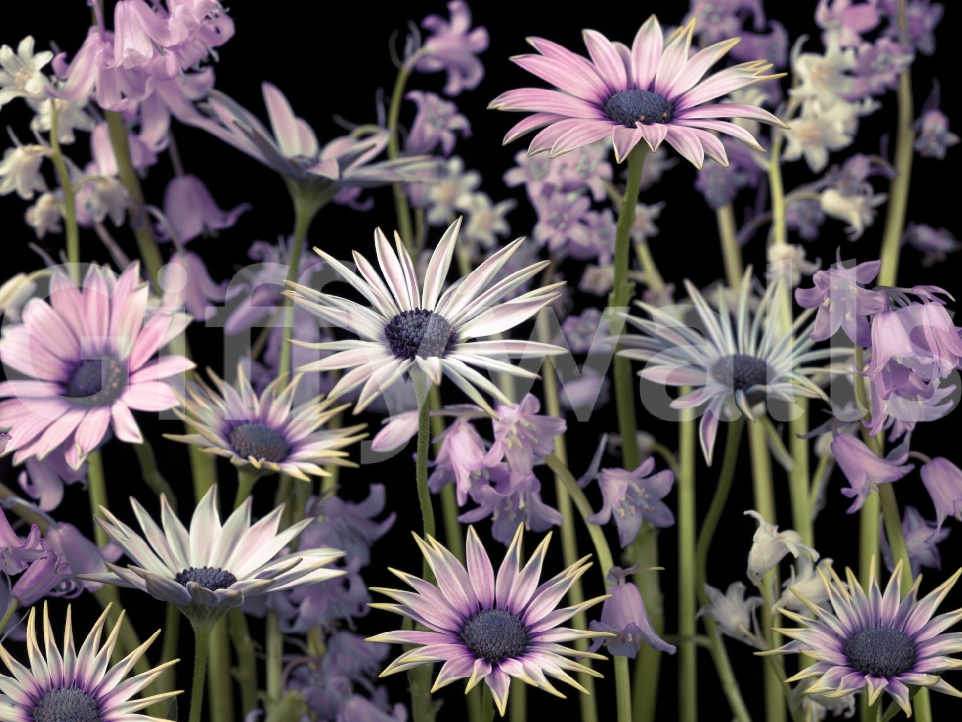 Elegant floral design offering a vibrant yet peaceful atmosphere

