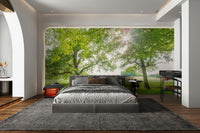 Wall mural of a wildflower meadow with a walking path.

