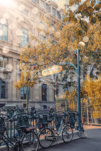 Metropolitain Dreamscape Wall Mural