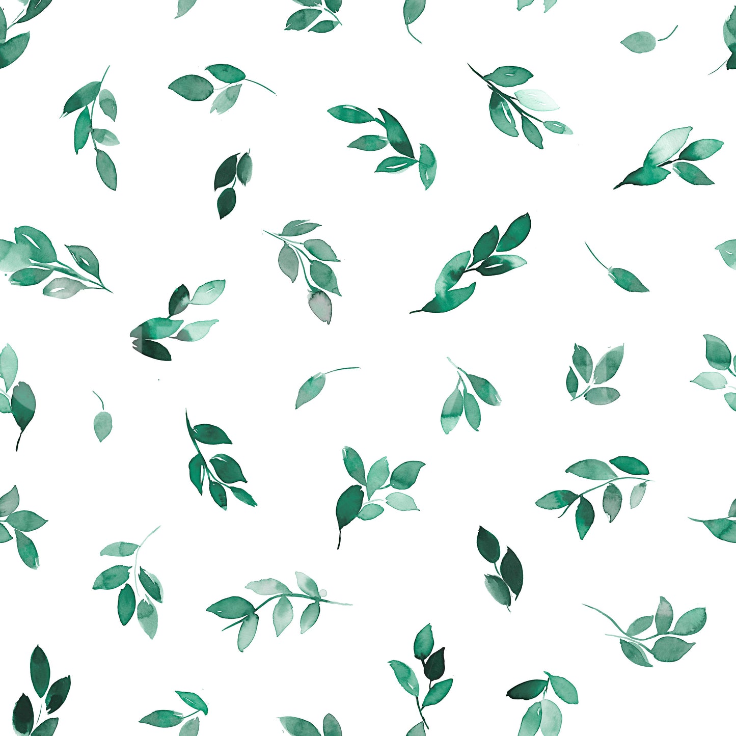 Minimal Leaf Green Eucalyptus Wallpaper⁠