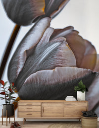 Miracle Tulips wall mural of grey-plum tulips behind a wood media sideboard with a rubber plant and books