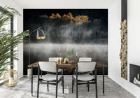 Dark water reflection, white skeletal trees, misty lake, Mist and Light Woodland.