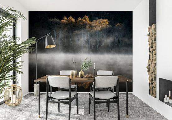 Dark water reflection, white skeletal trees, misty lake, Mist and Light Woodland.