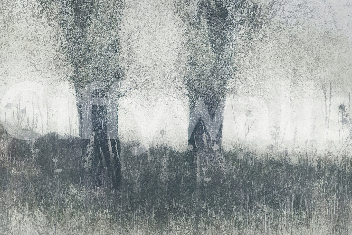 A high-quality minimalist tree wall mural for walls.