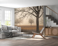 Misty Countryside Wall Mural