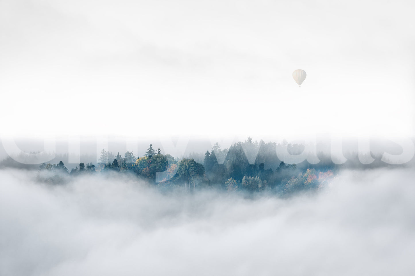 Above the Mist Wall Mural -2174342