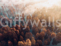 Forest wall mural covering, rust colored leaves, unique aerial perspective, Misty Autumn Forest.