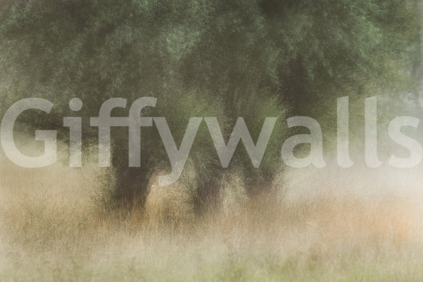 A high-quality minimalist tree wall mural for walls.