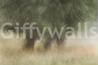 A high-quality minimalist tree wall mural for walls.