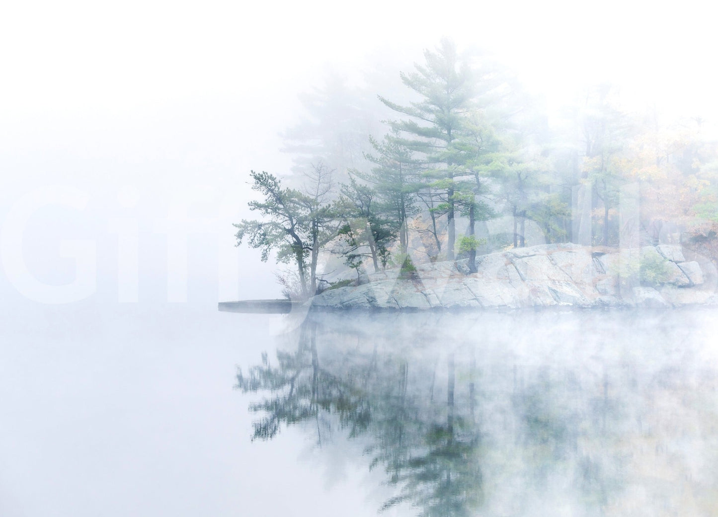 Minimalist natural beauty, subtle green foliage, stylish Misty Lake Serenity Woodland product.