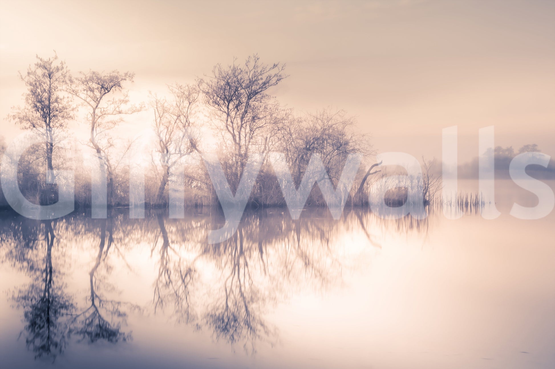 Serene Reflections mural art, tranquil scenery reflected on liquid.