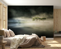 Misty Lake Woodland mural, ethereal landscape art, haunting natural scenery.