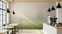Misty Meadow Bloom Wall Mural -2262314