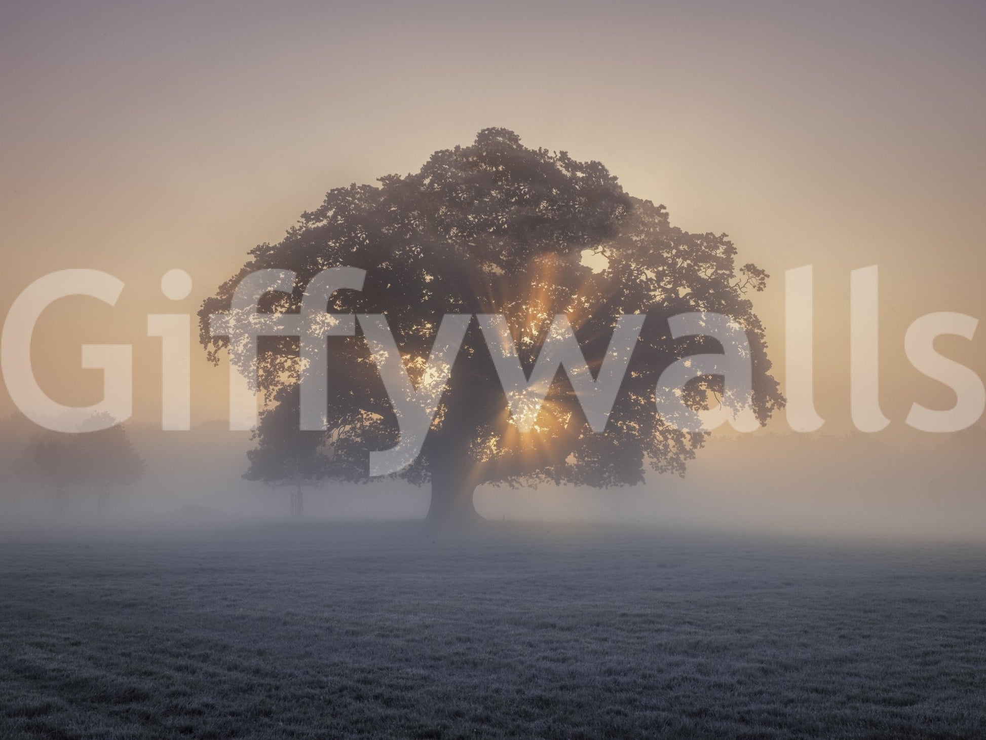 The scene captures the beauty of a new day.

