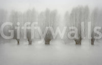 Misty Grove Serenity Wall Mural -1471005