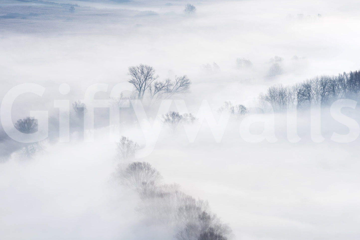 Misty Treescape Wall Mural -2159059