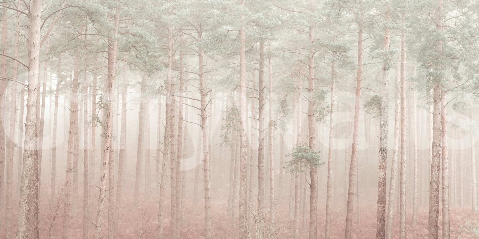 The design is non-realistic and interpretive.

