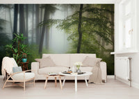 Deep Misty Woods Escape trail, lush greenery scenic landscape wallpaper.