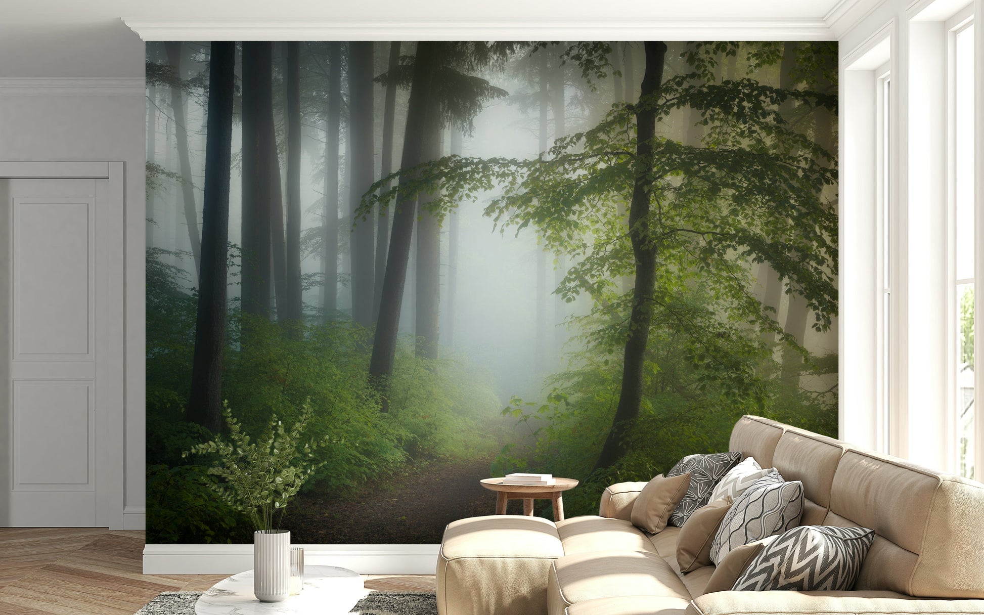 Immersive Misty Woods photo, tall pine trees foggy interior wallpaper.