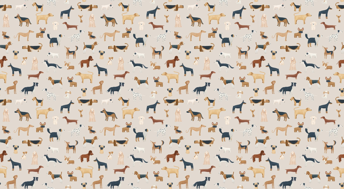 Beige Cute Dogs Wallpaper in your room — zoomed
